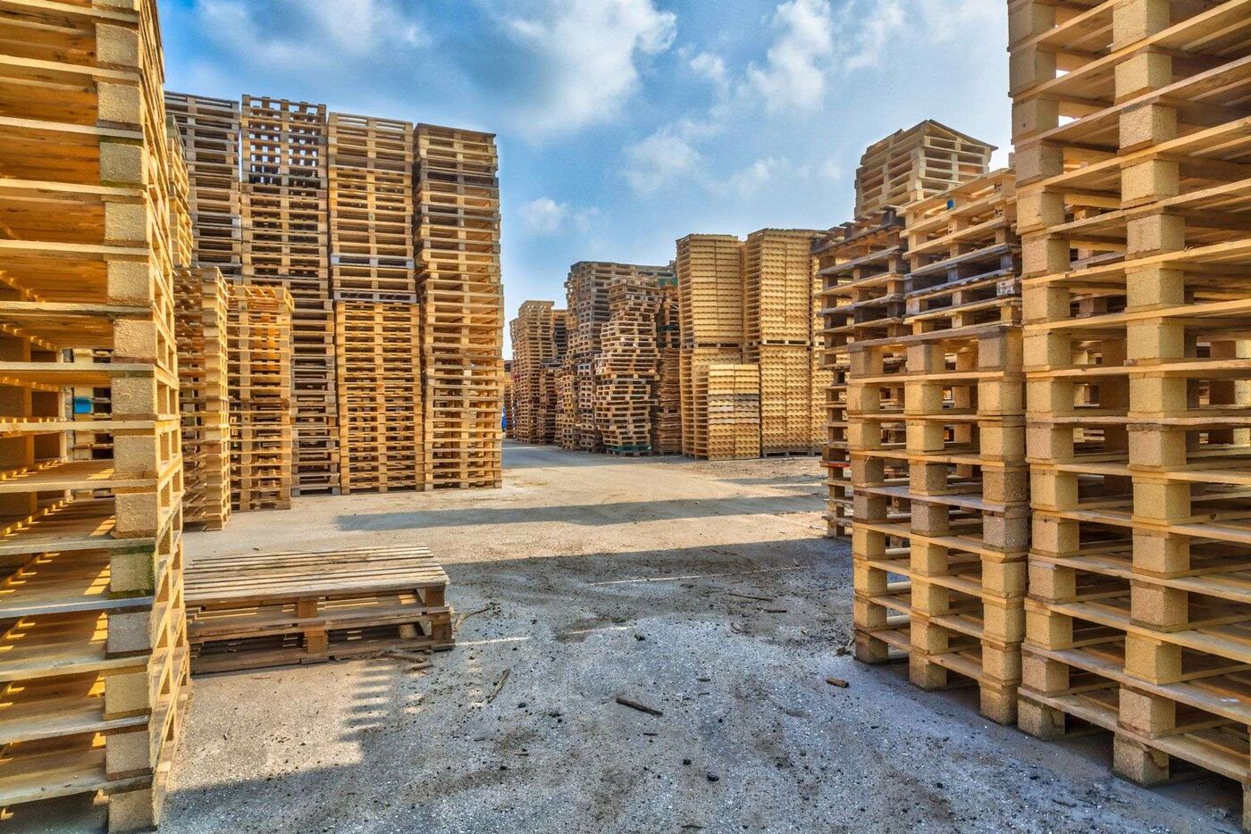 Wood pallets stacked at Pallet Broker LLC Nevada facility